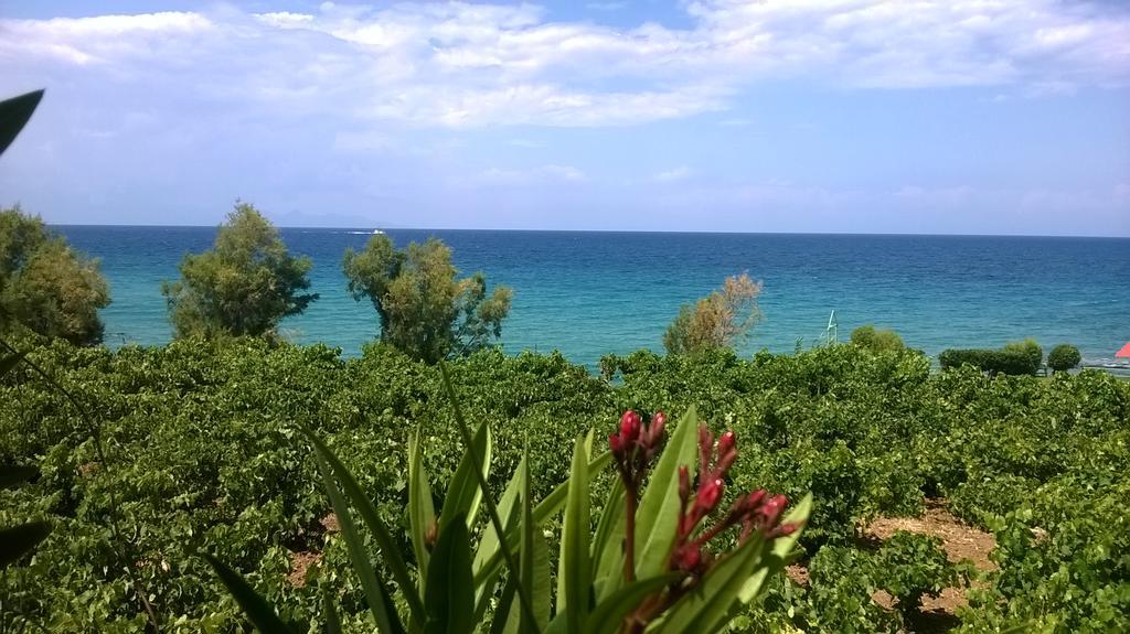 Villa Antonis Deluxe Apartments Ammoudi Dış mekan fotoğraf